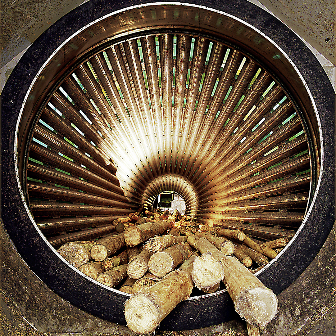 Rindenschälmaschine · © Rainer Elpel