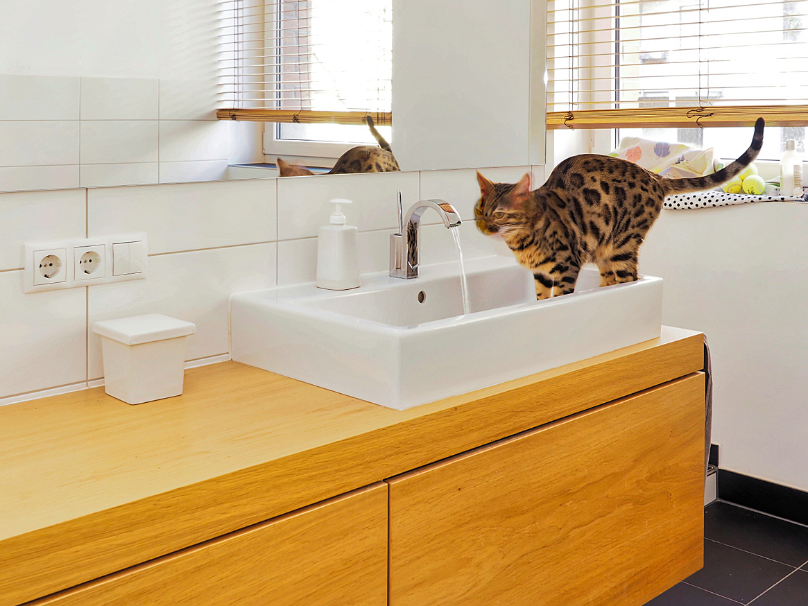 Katzenbecken · © Rainer Elpel