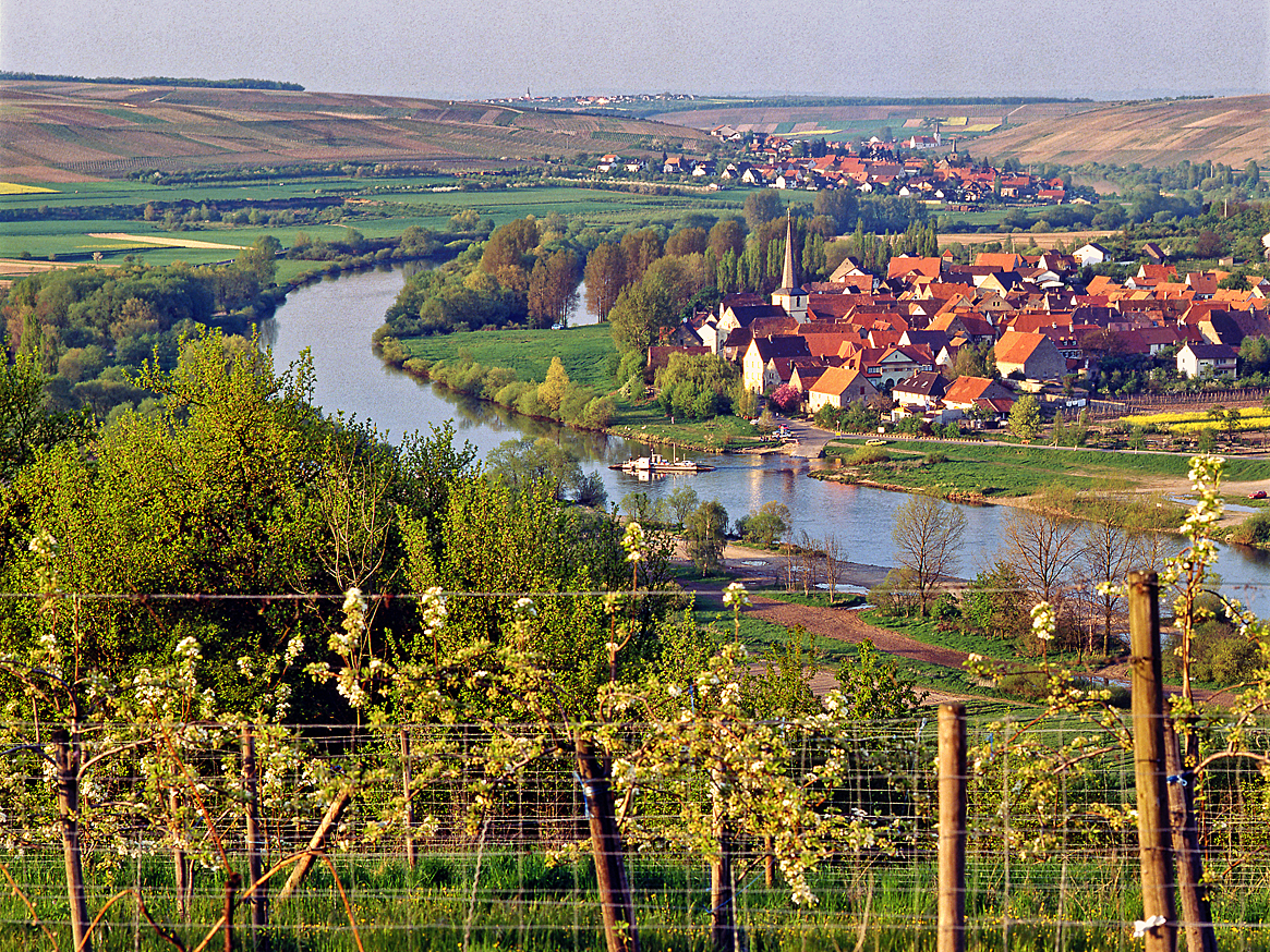 Franken-Mainschleife · © Rainer Elpel