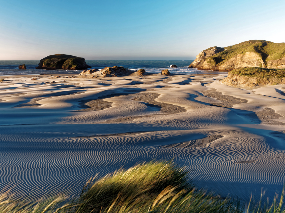 Strandhafer · © Rainer Elpel