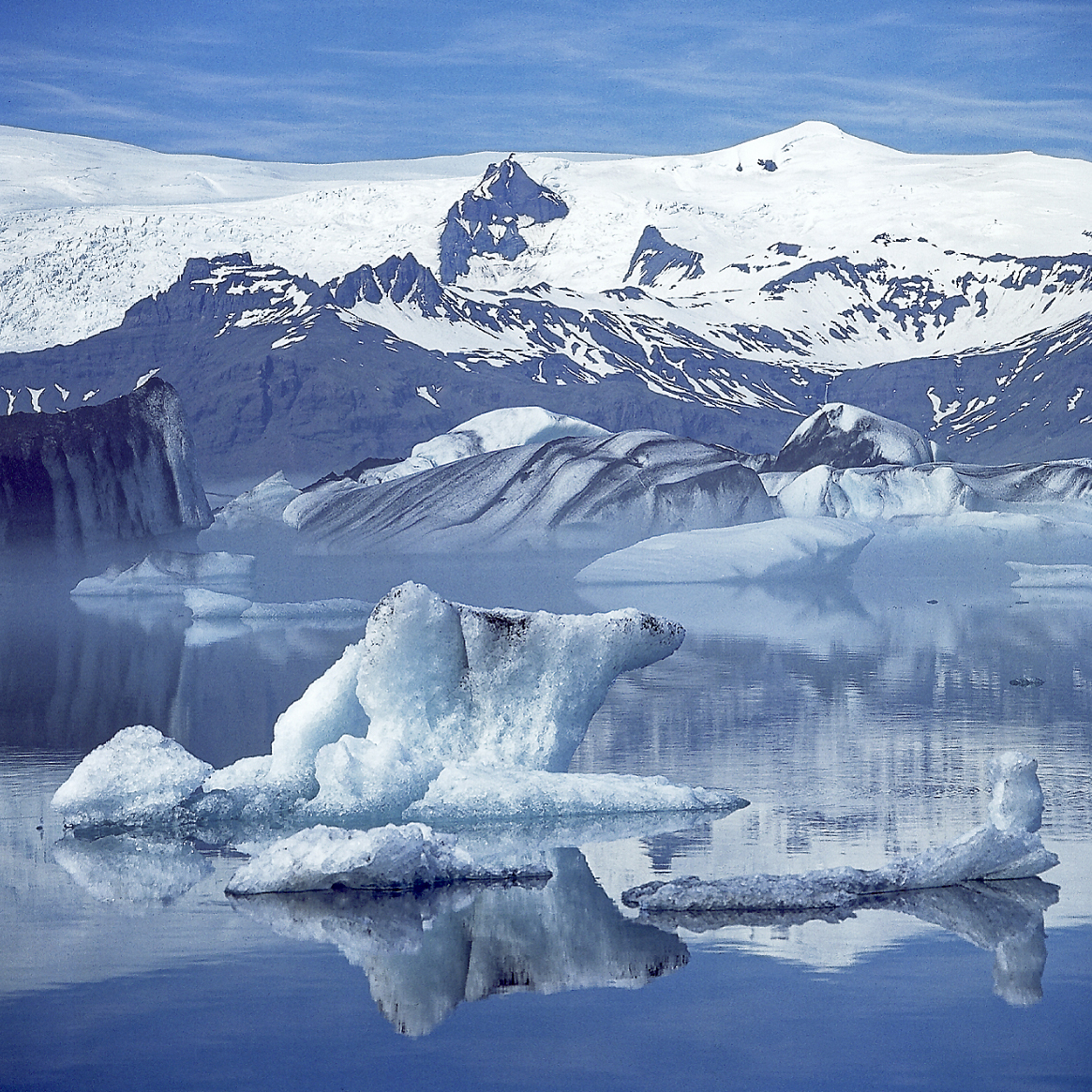 Eisbär · © Rainer Elpel