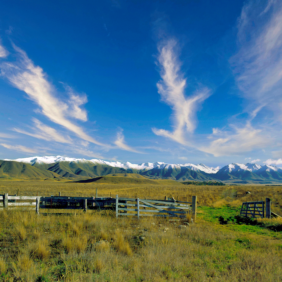 Otago · © Rainer Elpel
