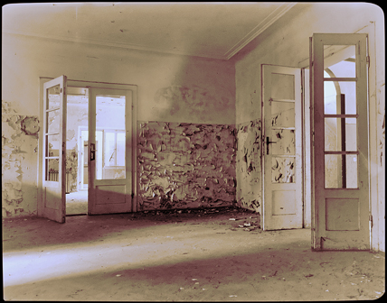 Morbid · © Rainer Elpel