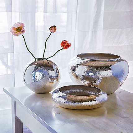 Silbertöpfe · © Rainer Elpel