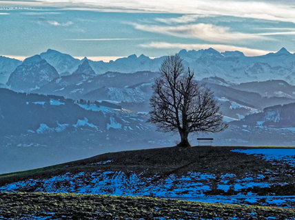 Ruheplatz · © Rainer Elpel