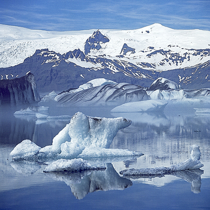 Eisbär · © Rainer Elpel