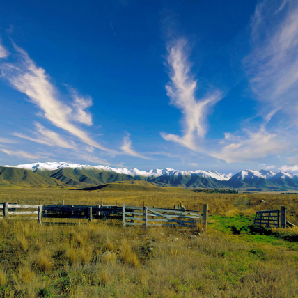 Otago · © Rainer Elpel