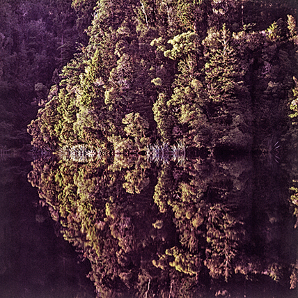 Gespiegelter Wald · © Rainer Elpel