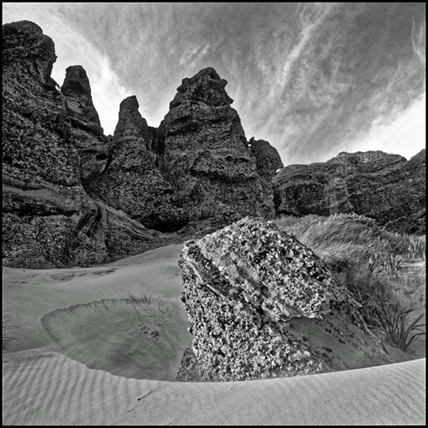 Krötenkopf · © Rainer Elpel