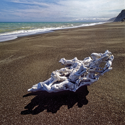 Strandgut 2 · © Rainer Elpel